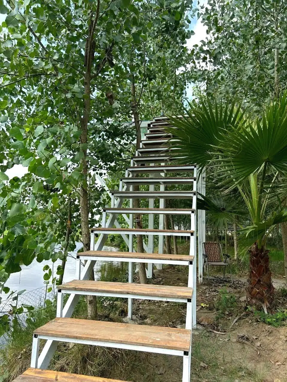 تصویر 5