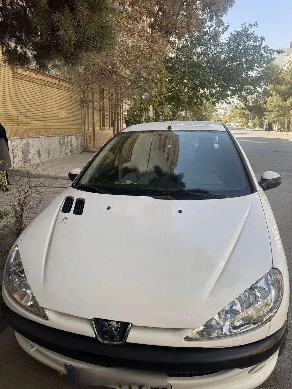 ۲۰۶ سفید|خودرو سواری و وانت|مشهد, گاز|دیوار