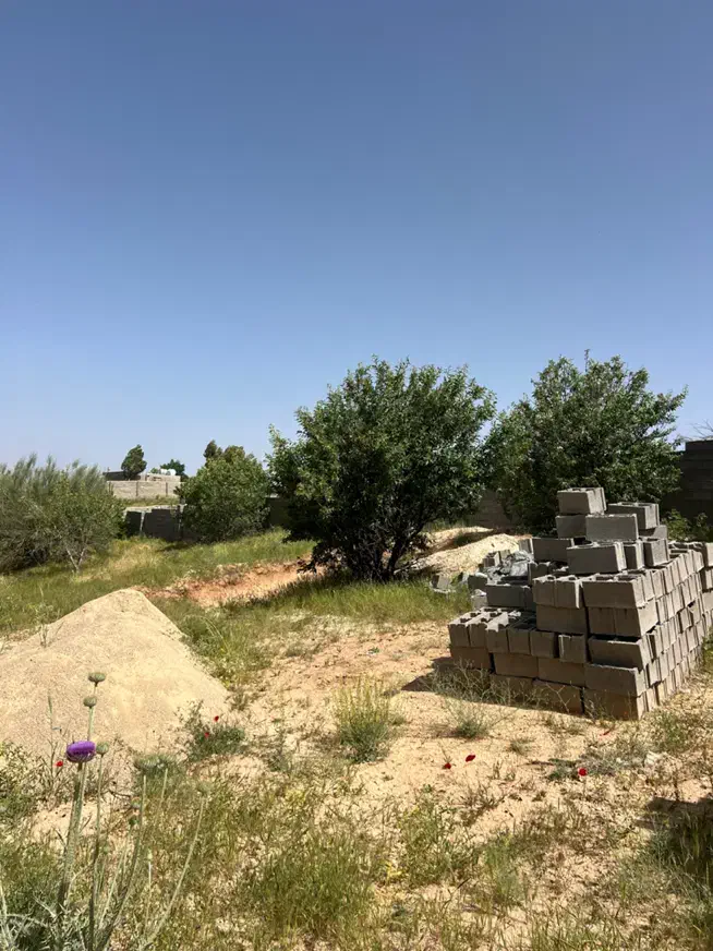 تصویر 3