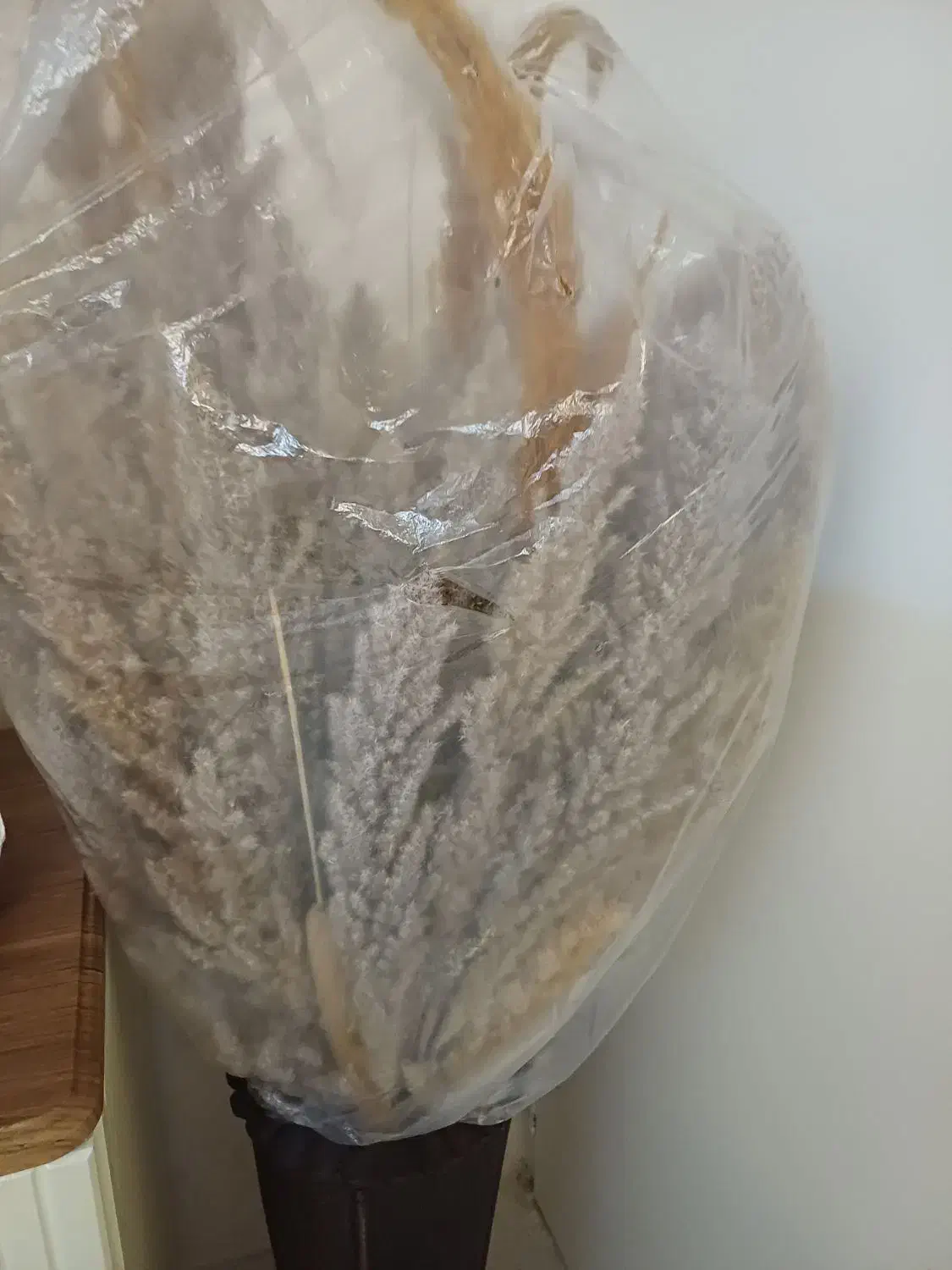 گل پامپاس|گل مصنوعی|کرمانشاه, |دیوار