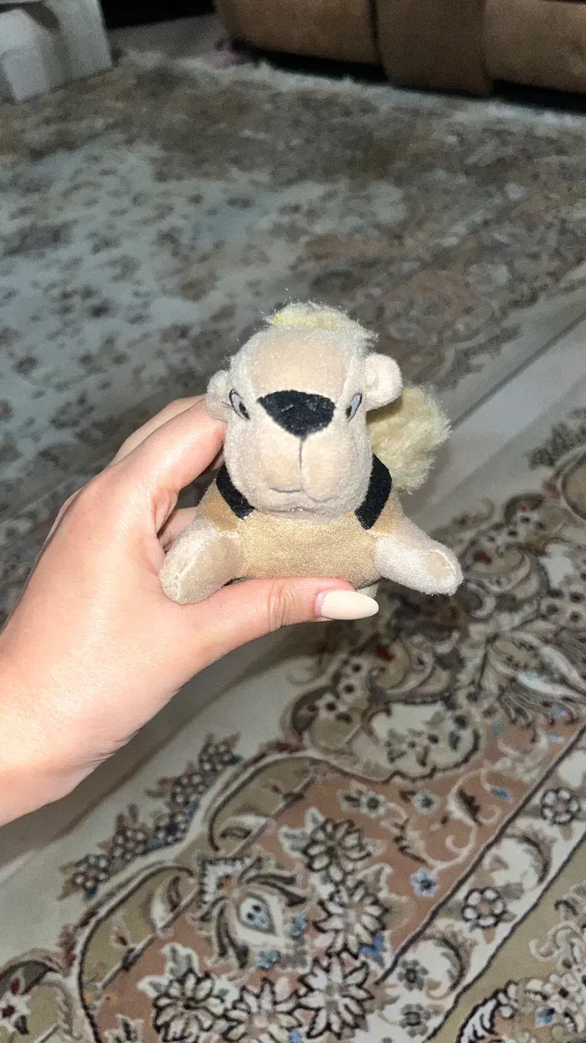 عروسک کوچک فشاری|مجسمه، تندیس، ماکت|مشهد, راهنمایی|دیوار