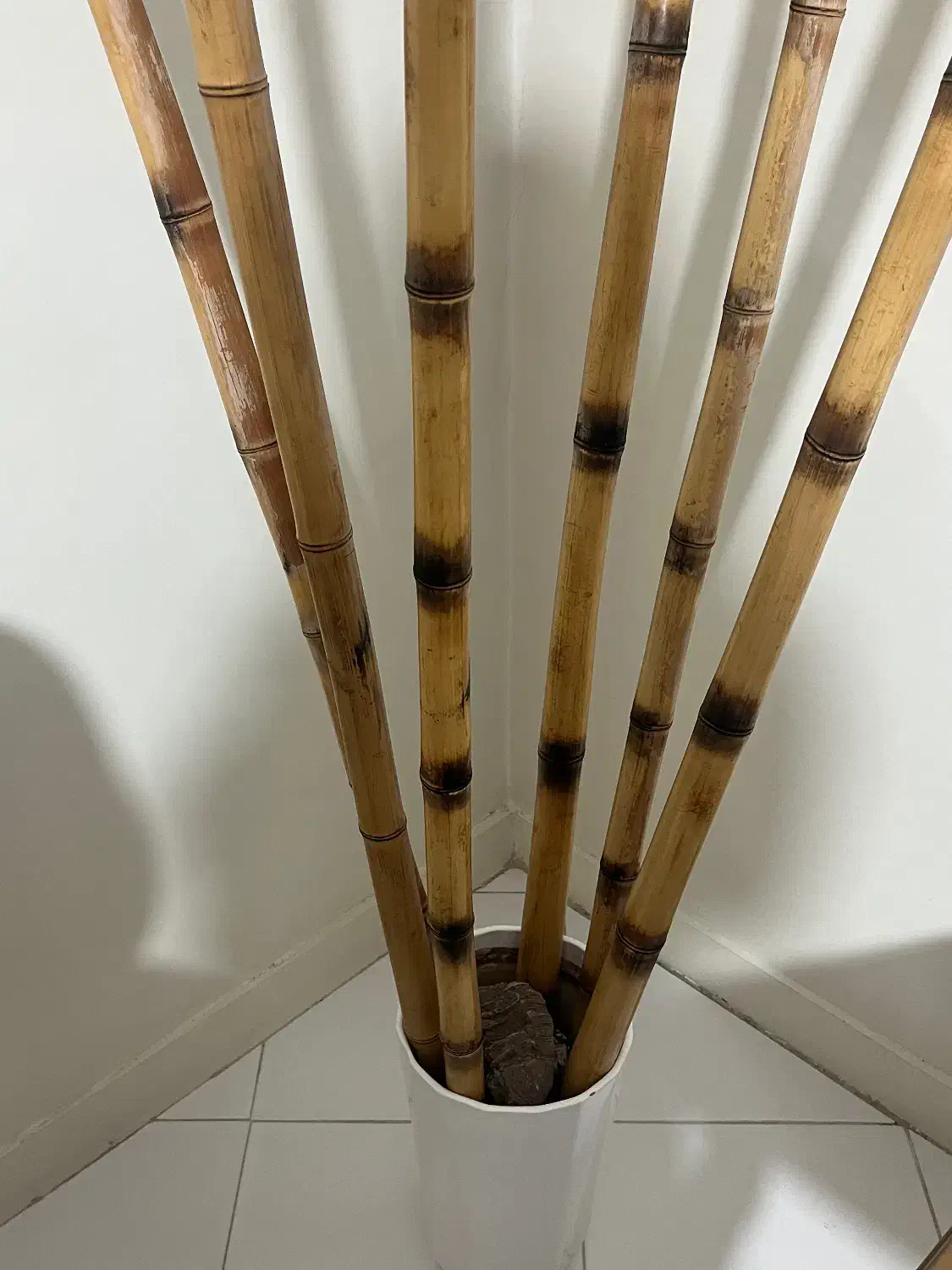 چوب بامبو|صنایع دستی و سایر لوازم تزئینی|کرج, کوی امامیه|دیوار