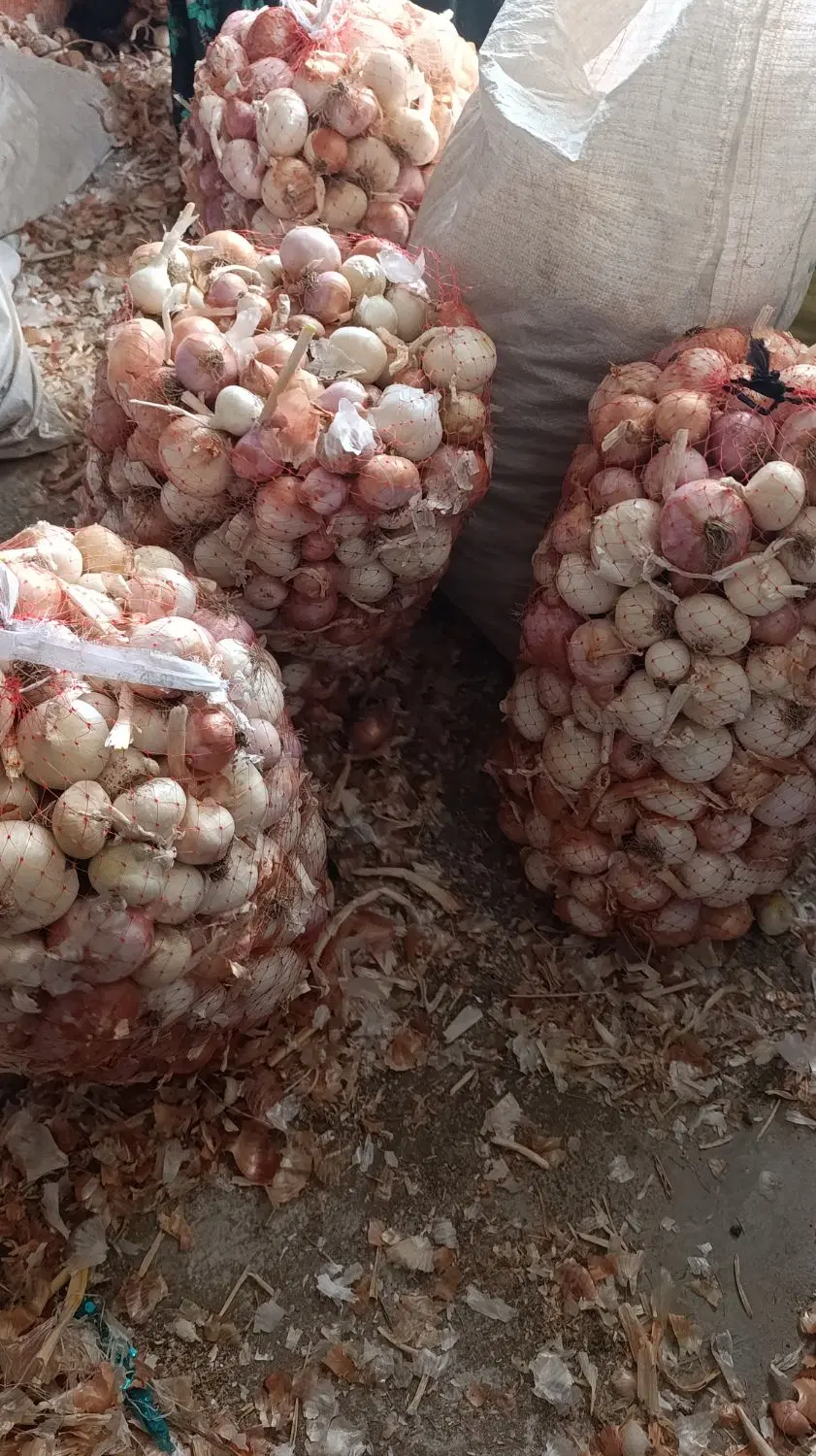 ‌پیاز|خوردنی و آشامیدنی|چاروسا, |دیوار