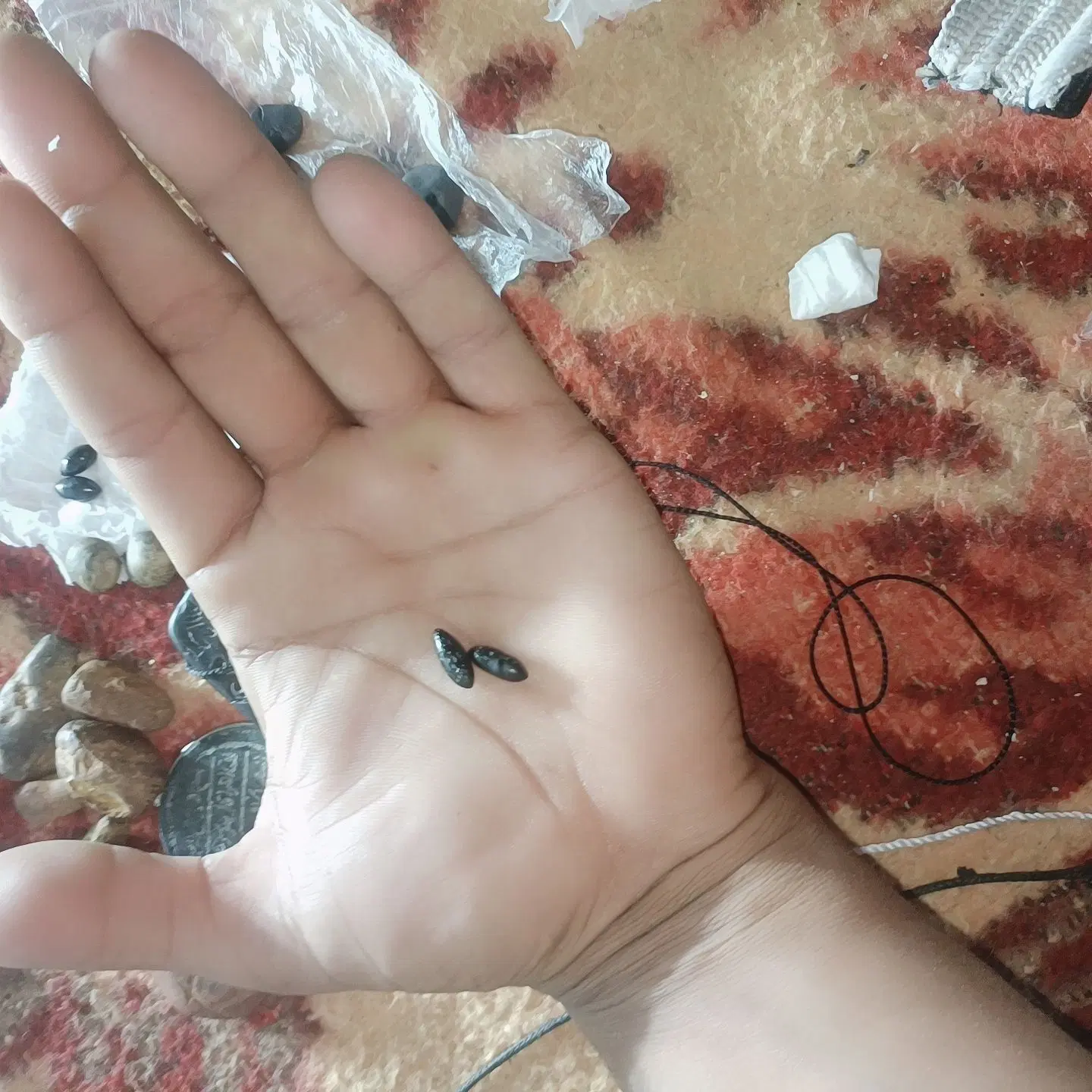 انگشتر و مهره|جواهرات|شیراز, قالیشویی|دیوار