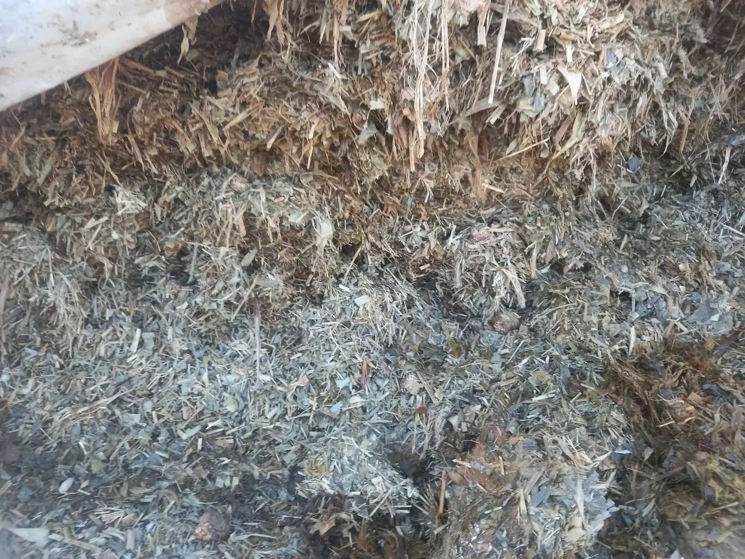 ذرت|لوازم جانبی حیوانات|اسفراین, |دیوار