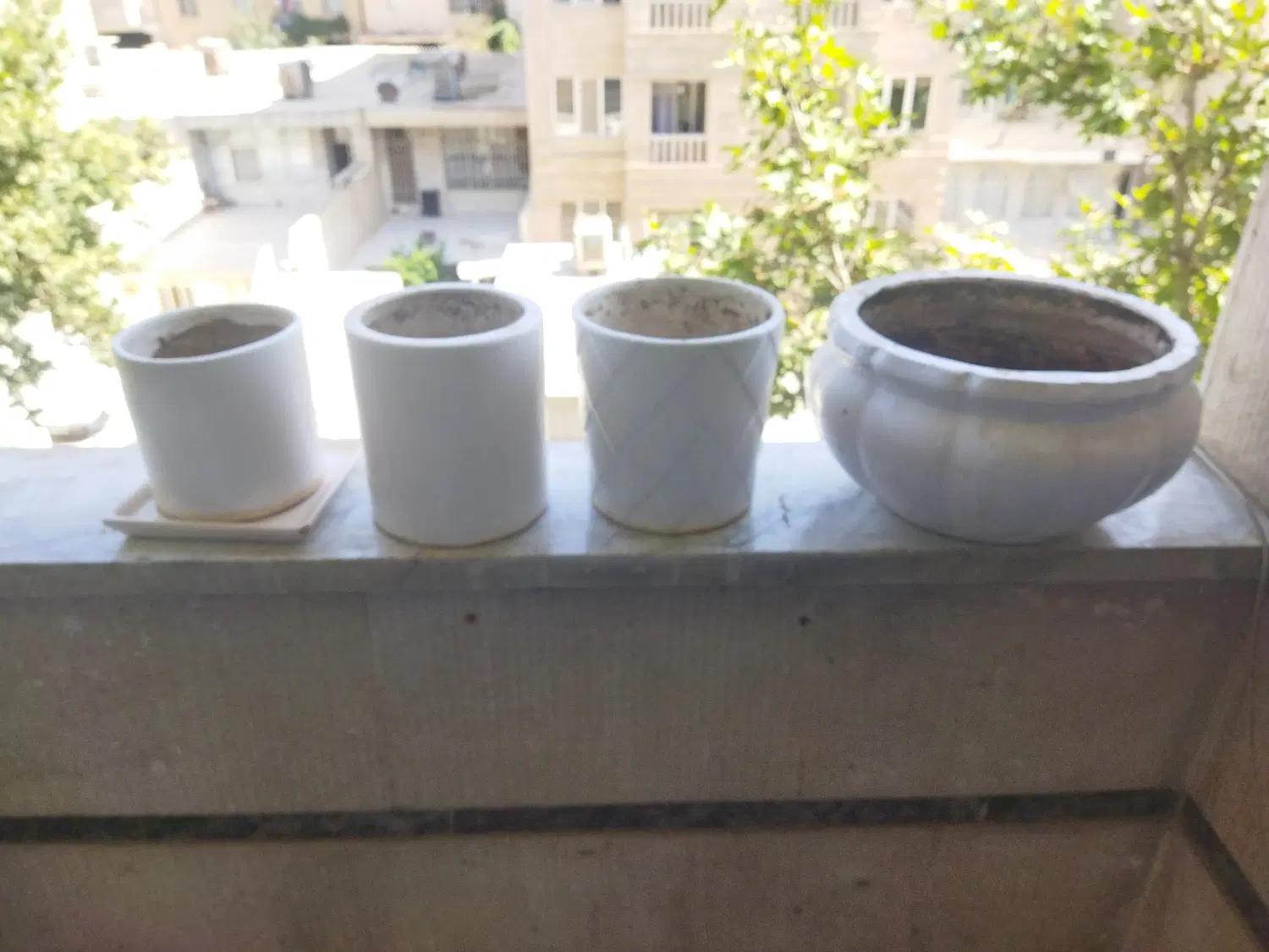 گلدان|گل و گیاه طبیعی|کرج, باغستان|دیوار