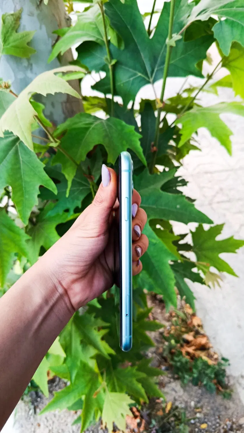 iphone 11|موبایل|مشهد, بهمن|دیوار