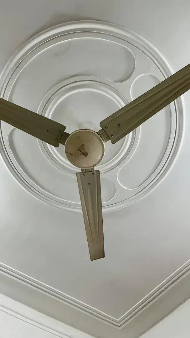 پنکه سقفی|پنکه و تصفیه‌کنندهٔ هوا|لاهیجان, شهرک جانبازان|دیوار