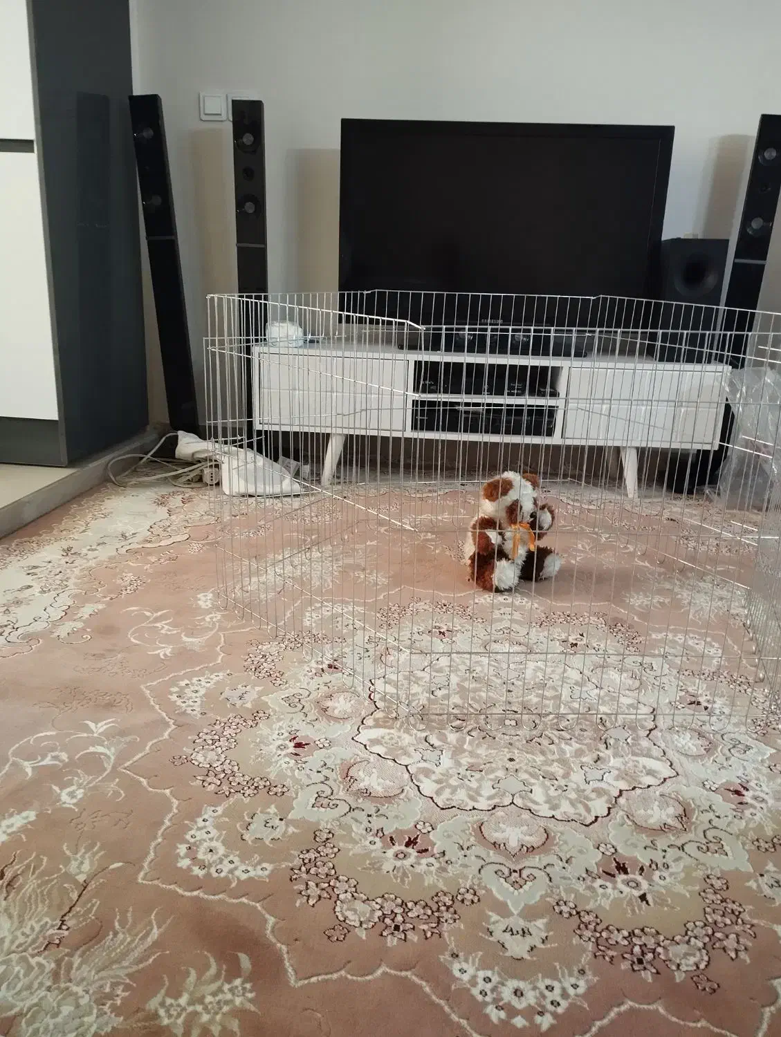 پارک سگ|لوازم جانبی حیوانات|تهران, خانی آباد نو جنوبی|دیوار