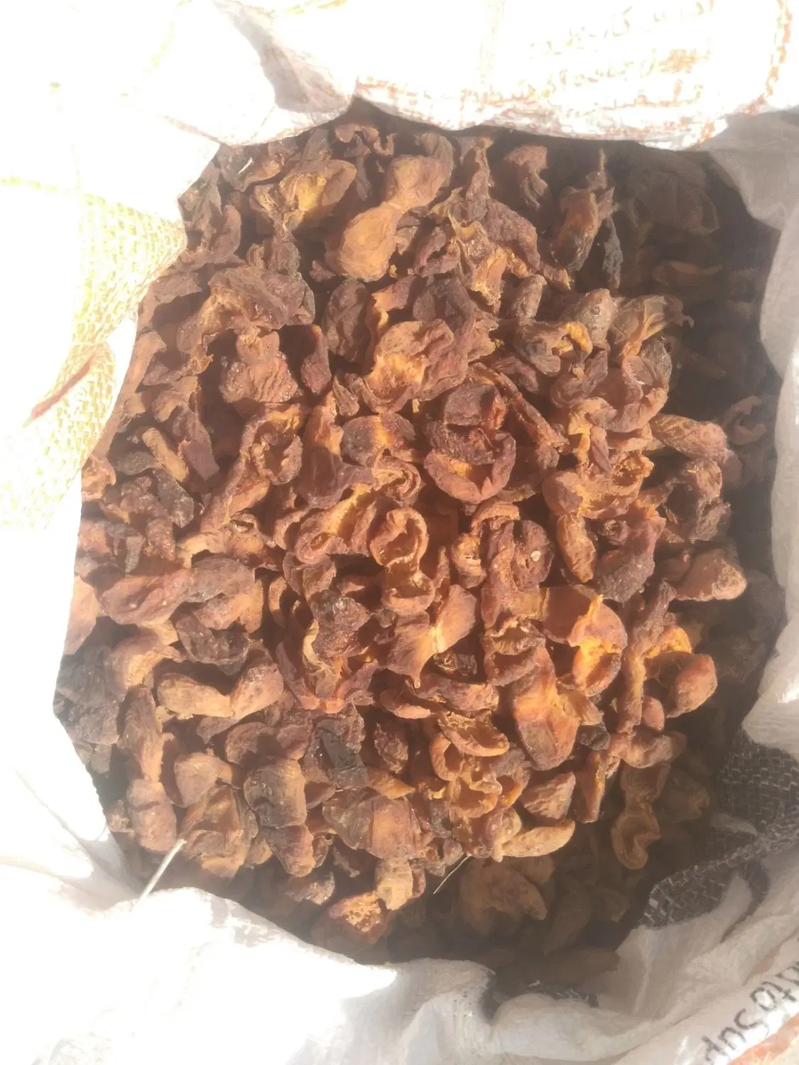 (گاخ)|خوردنی و آشامیدنی|اهر, |دیوار