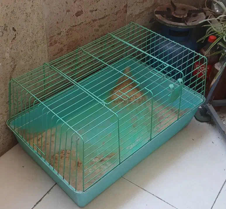 قفس|لوازم جانبی حیوانات|کرج, گوهردشت|دیوار