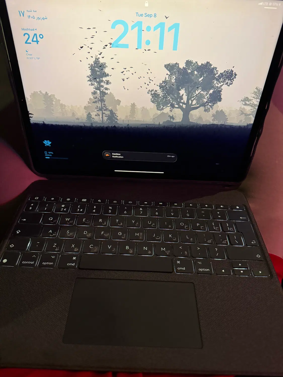 Ipad pro m1 2021 cellular|تبلت|مشهد, سجاد شهر|دیوار