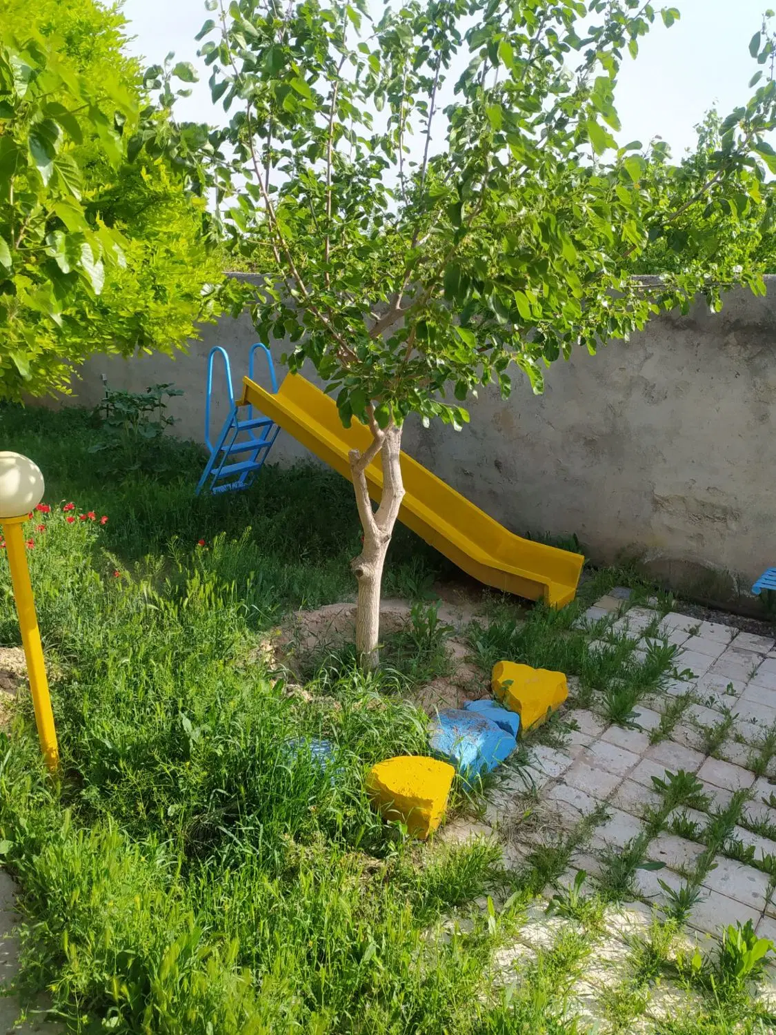 تصویر 11
