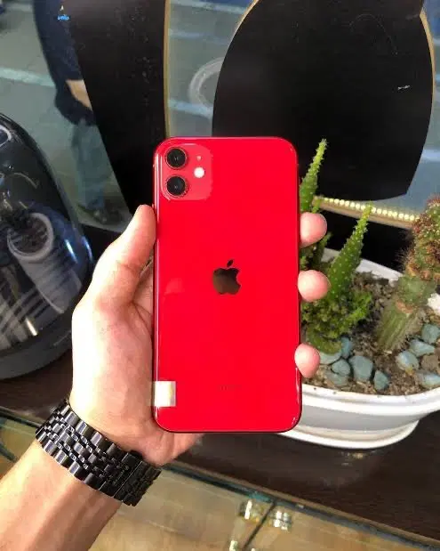 iPhone 11 normal 128 LLA|موبایل|بندرعباس, |دیوار