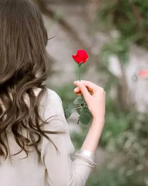 ثبت نام|خودرو سواری و وانت|شیراز, معالیآباد|دیوار