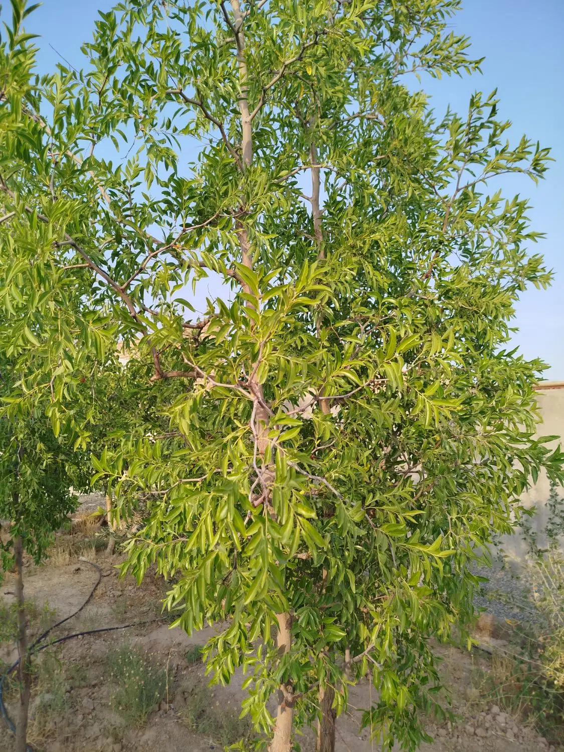 تصویر 7