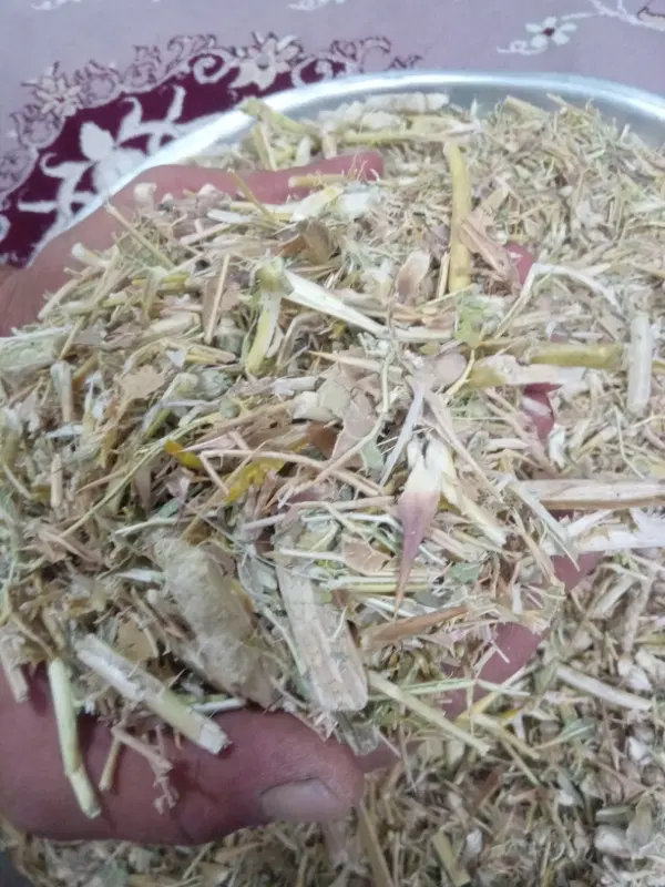 کاه|لوازم جانبی حیوانات|گلبهار, بیزکی|دیوار