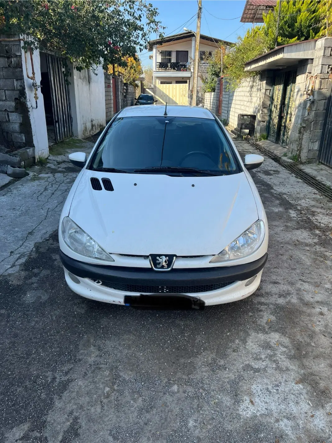 ۲۰۶SD V8 91|خودرو سواری و وانت|رویان, |دیوار