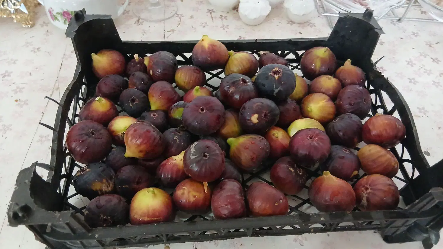 انجیر|خوردنی و آشامیدنی|تایباد, |دیوار