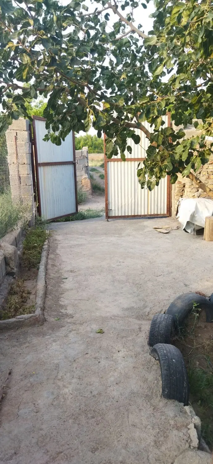 تصویر 7