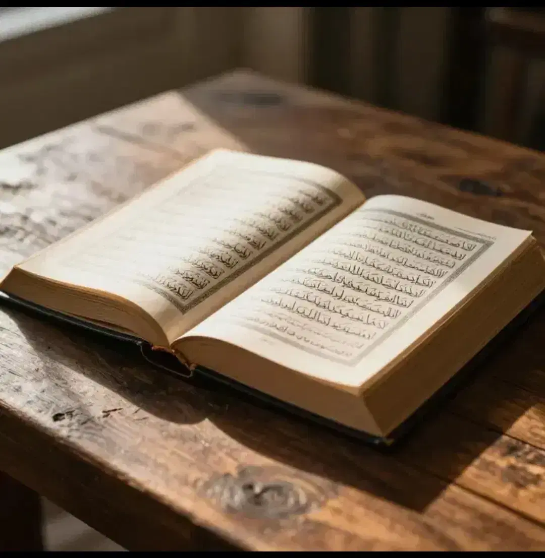 کتاب|کتاب و مجله تاریخی|شیراز, تپه تلویزیون|دیوار