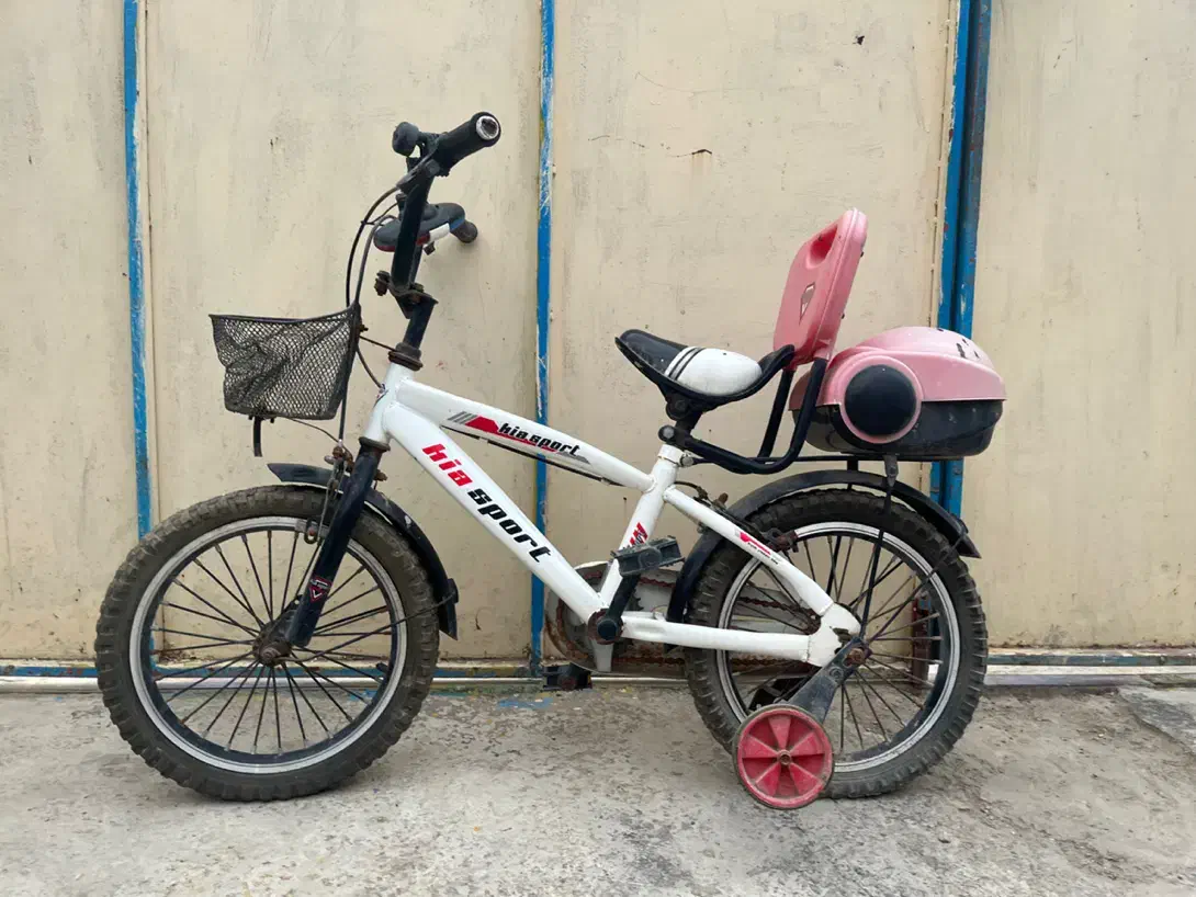 دوچرخه|دوچرخه، اسکیت، اسکوتر|گنبد کاووس, |دیوار