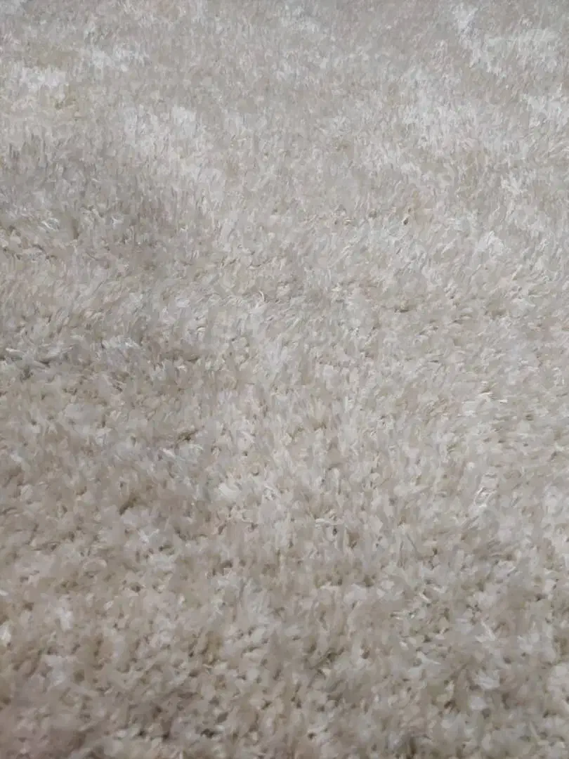 فرش شگی|فرش|امیرکلا, |دیوار