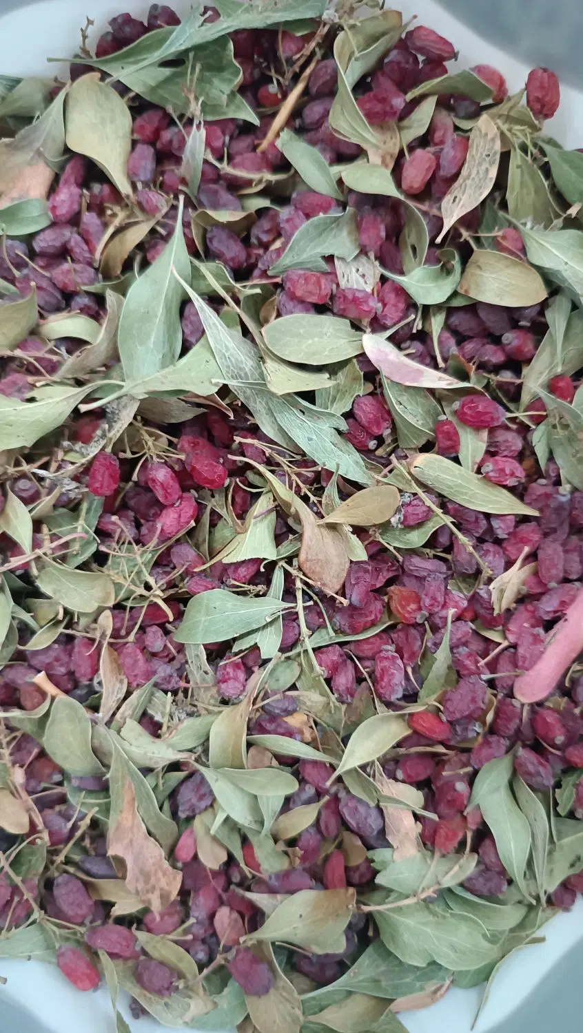 زرشک|خوردنی و آشامیدنی|بیرجند, |دیوار