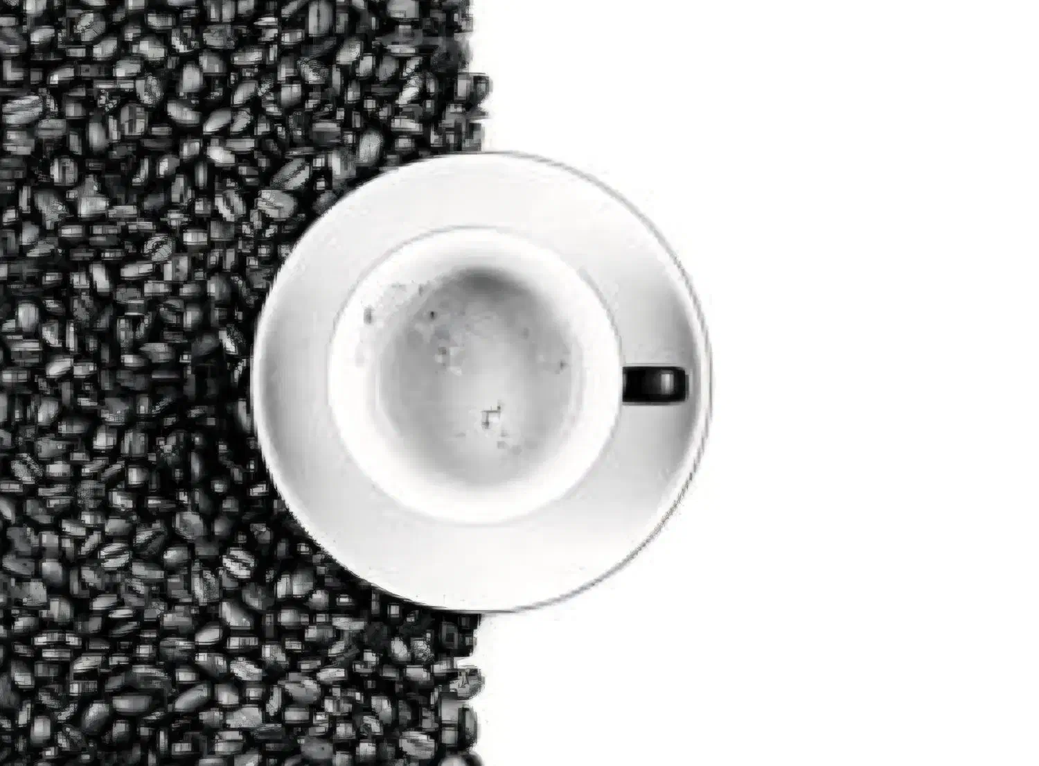 خدمات طراحی گرافیک، چاپ و دیجیتال مارکتینگ|خدمات رایانه‌ای و موبایل|آمل, |دیوار