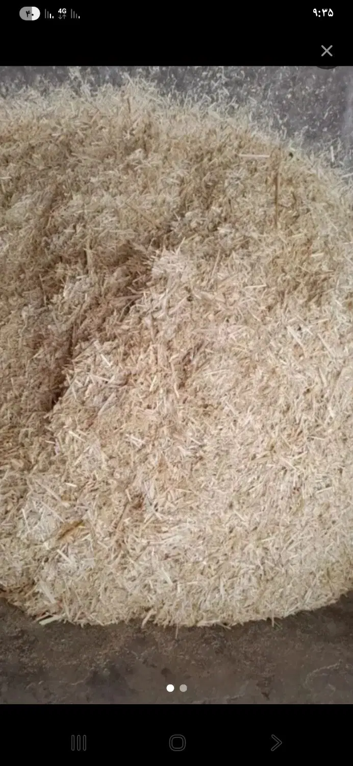 کاه گندم|لوازم جانبی حیوانات|صالح آباد (خراسان), |دیوار