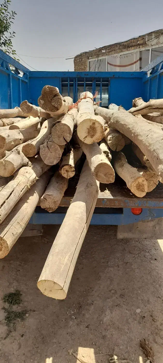 خدمات|خدمات باغبانی و درختکاری|قیدار, |دیوار