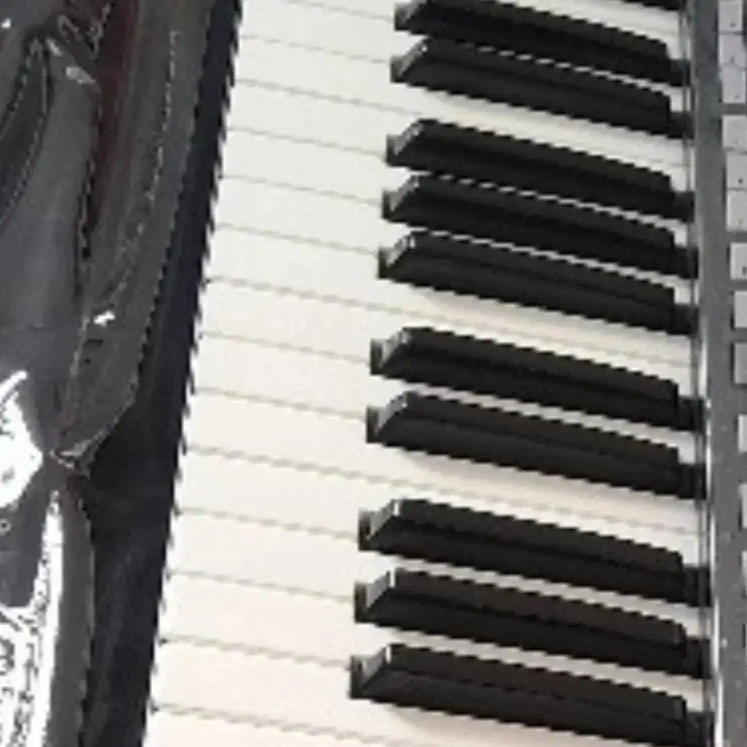 pa3xle|گیتار، بیس، امپلیفایر|شیراز, چوگیاه‎|دیوار