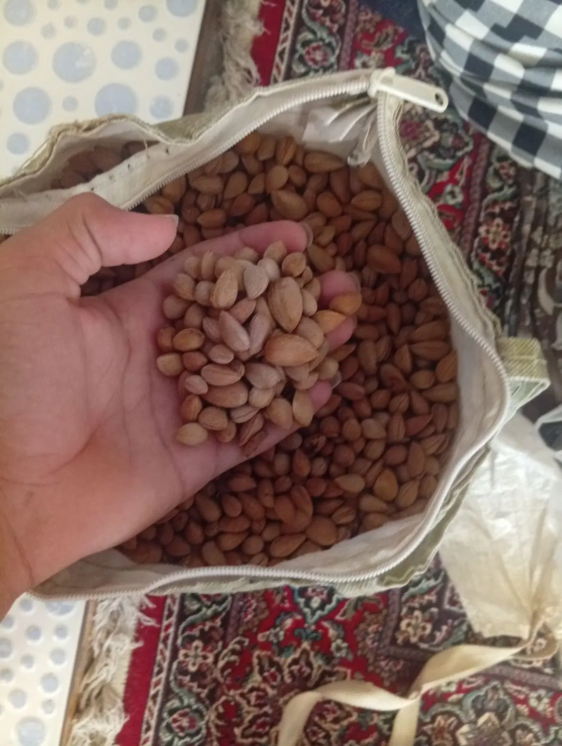 بادم کوهی|خوردنی و آشامیدنی|بهبهان, |دیوار