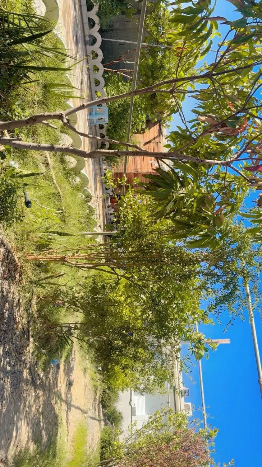 تصویر 6