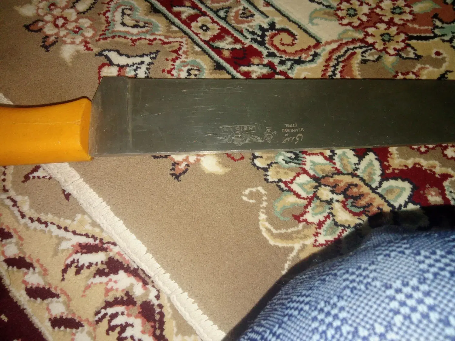 کارت|کوهنوردی و کمپینگ|سبزوار, میدان بار|دیوار