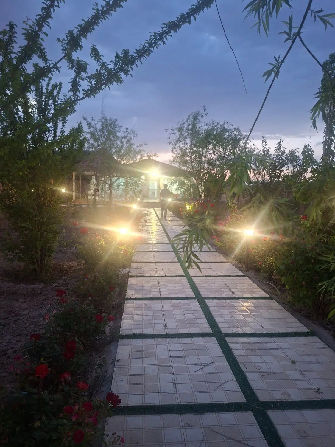 تصویر 15