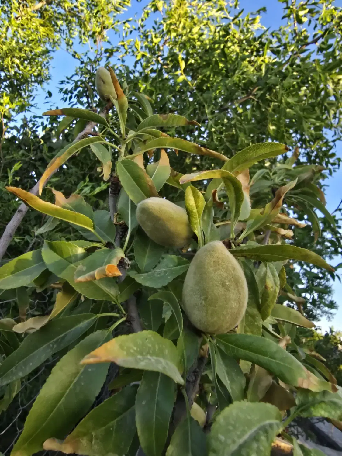 تصویر 9