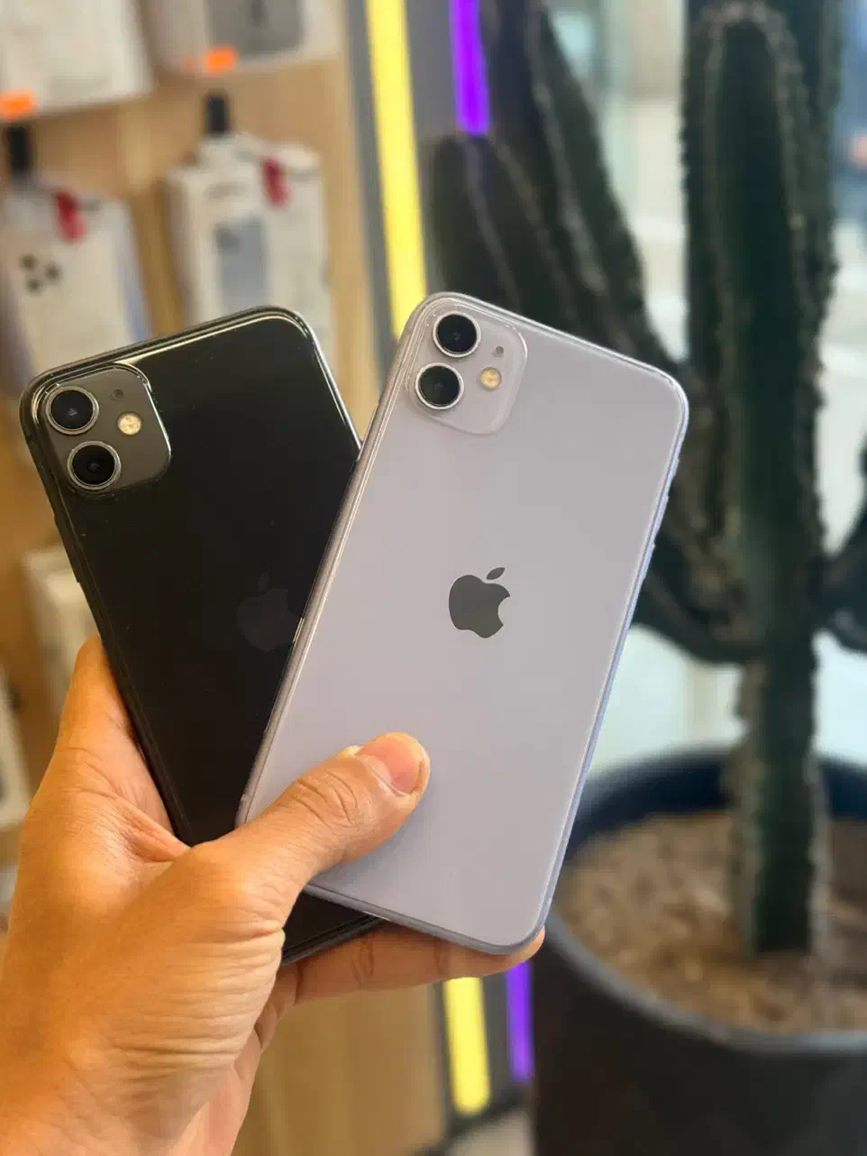 ایفون ۱۱ iPhone 11|موبایل|مشهد, بهشت|دیوار