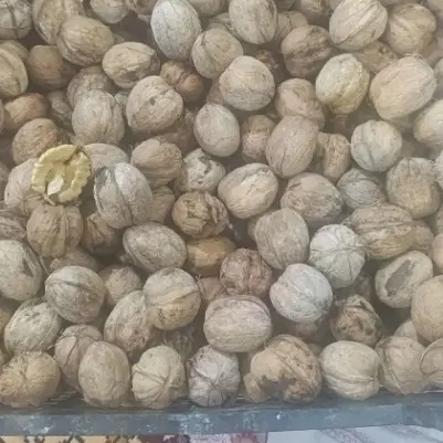 گردو|خوردنی و آشامیدنی|نورآباد ممسنی, |دیوار