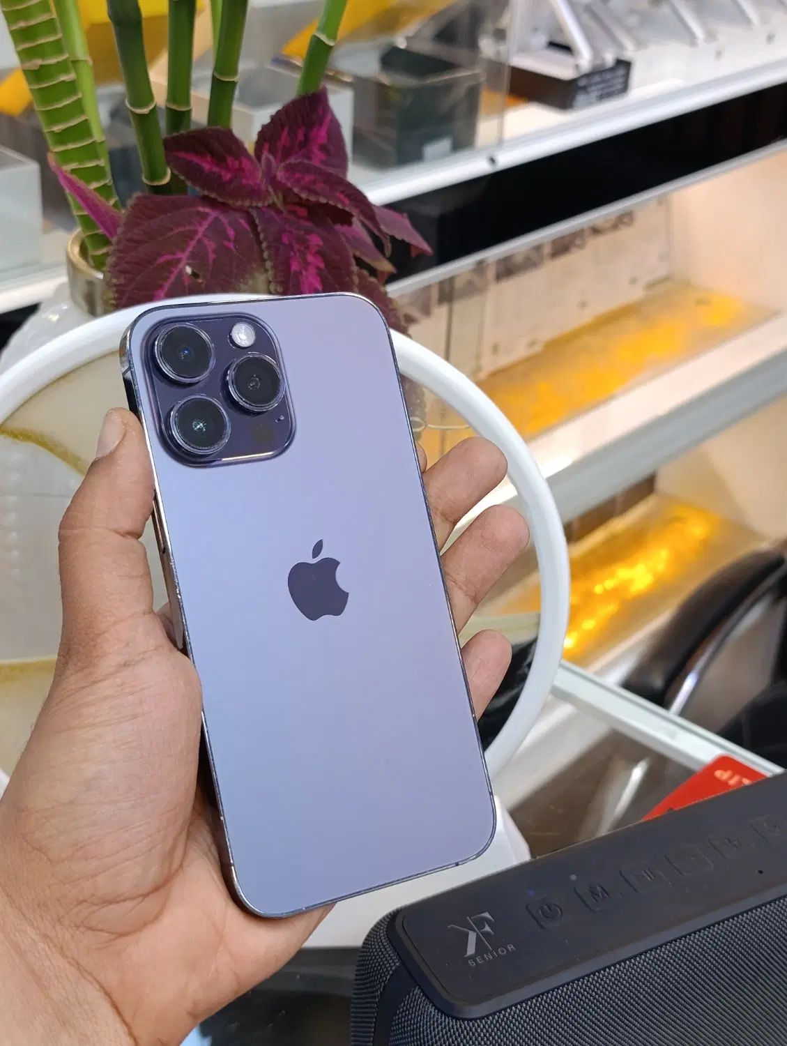 14ProMax|موبایل|بوشهر, |دیوار