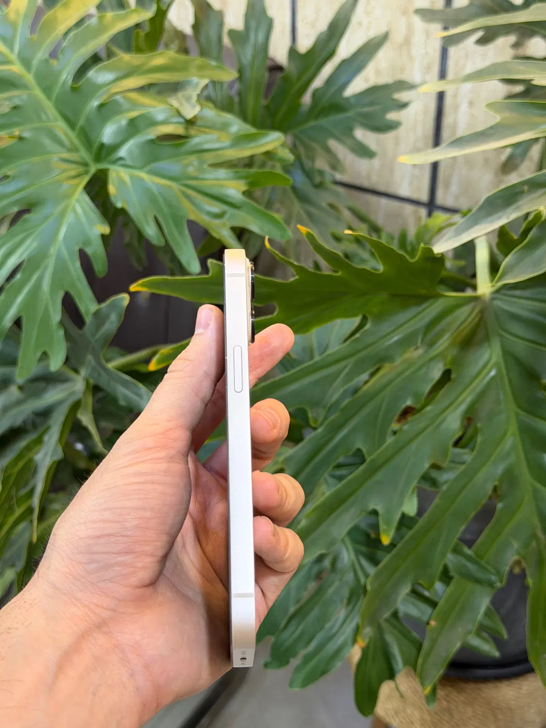 Iphone 13 normal|موبایل|تهران, آزادشهر|دیوار