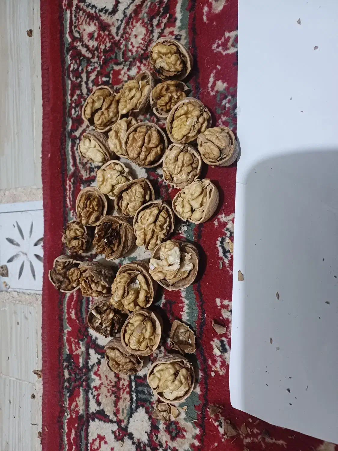 گردو|عمدهفروشی|آذرشهر, |دیوار