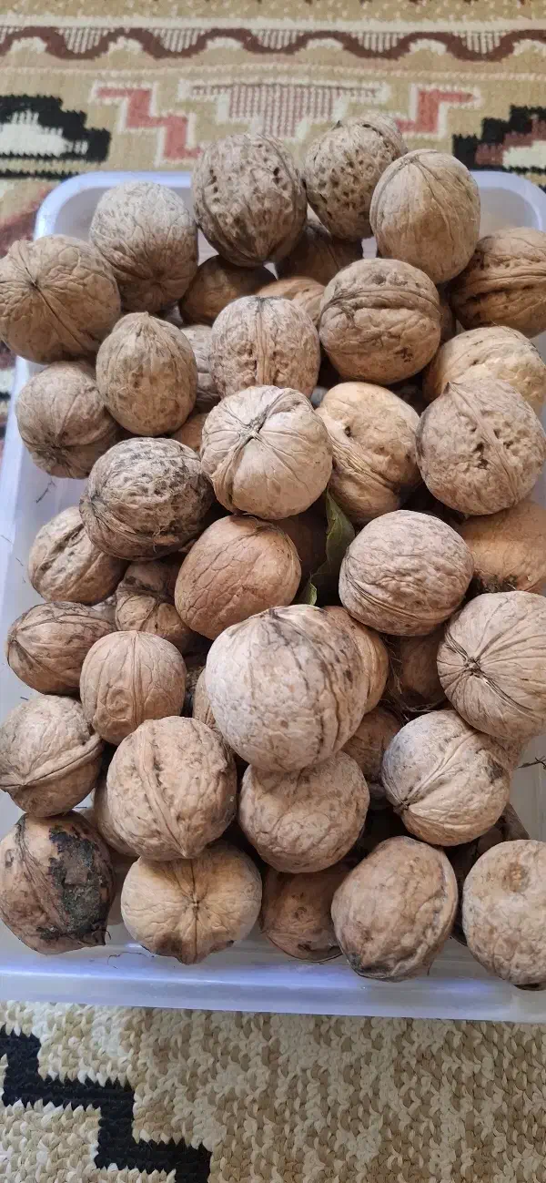 فروش گردو|عمدهفروشی|شاهین دژ, |دیوار