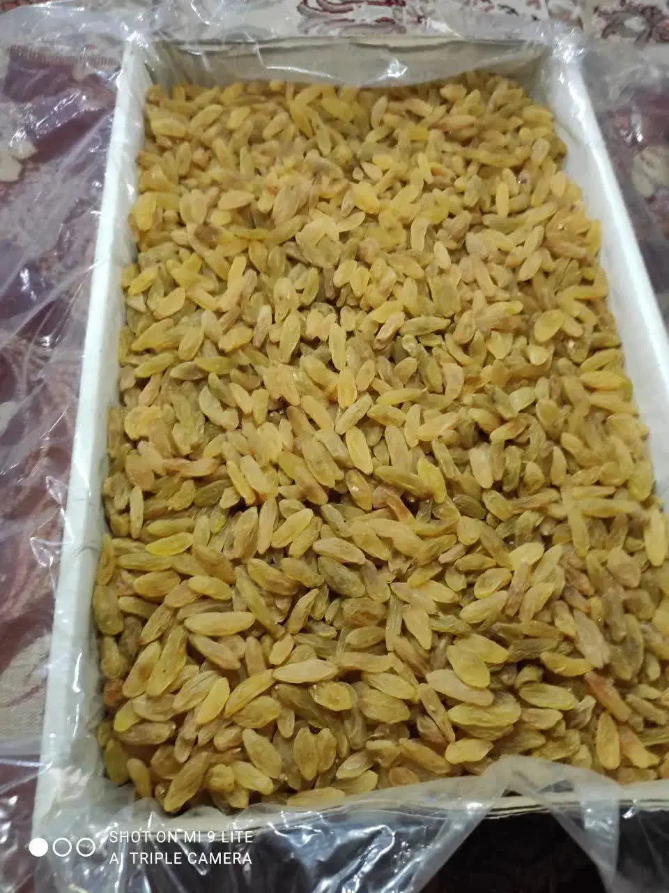 کشمش سبز آجیلی|خوردنی و آشامیدنی|مشهد, محمدآباد|دیوار