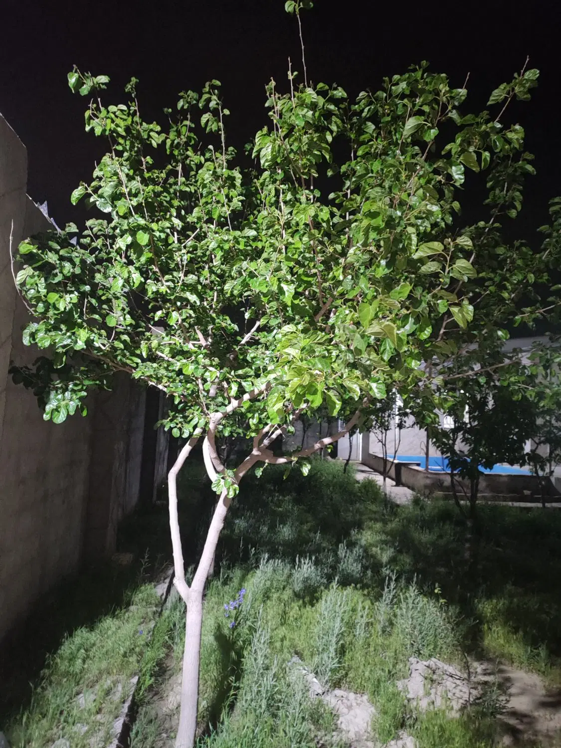 تصویر 3