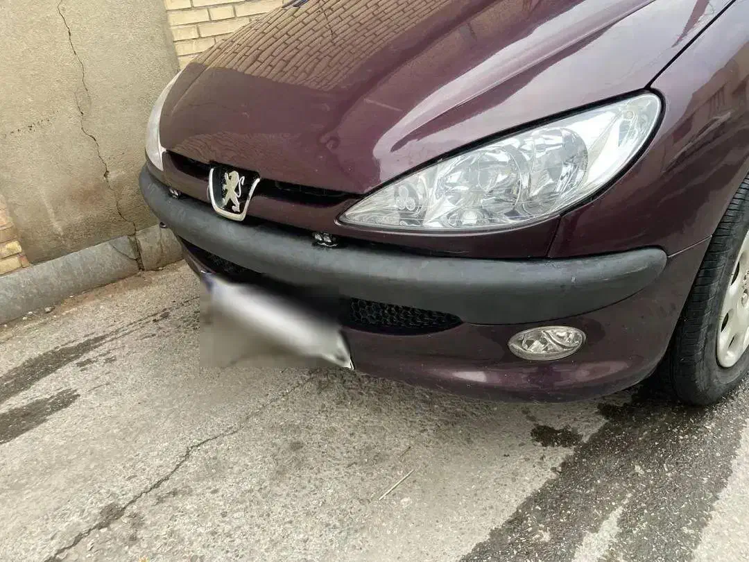 206SD-V8|خودرو سواری و وانت|کرمان, |دیوار