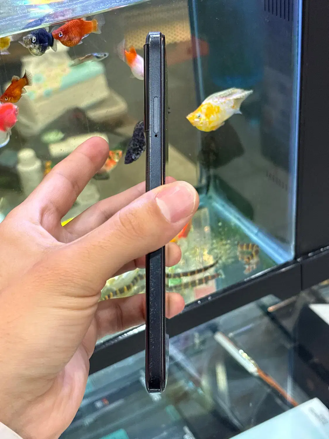 Poco M5|موبایل|شیراز, زند|دیوار