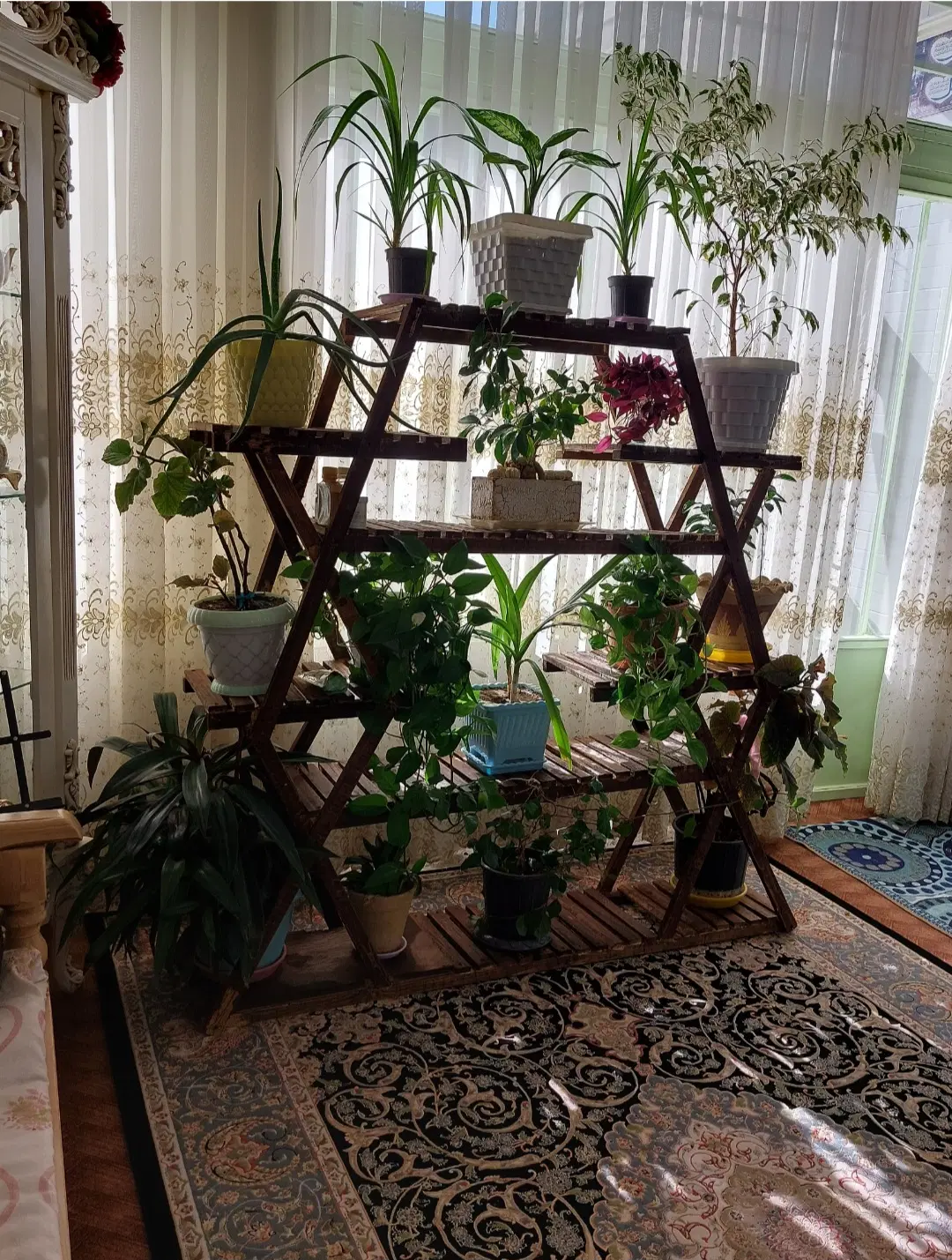استند گل|گل و گیاه طبیعی|لنجان, |دیوار