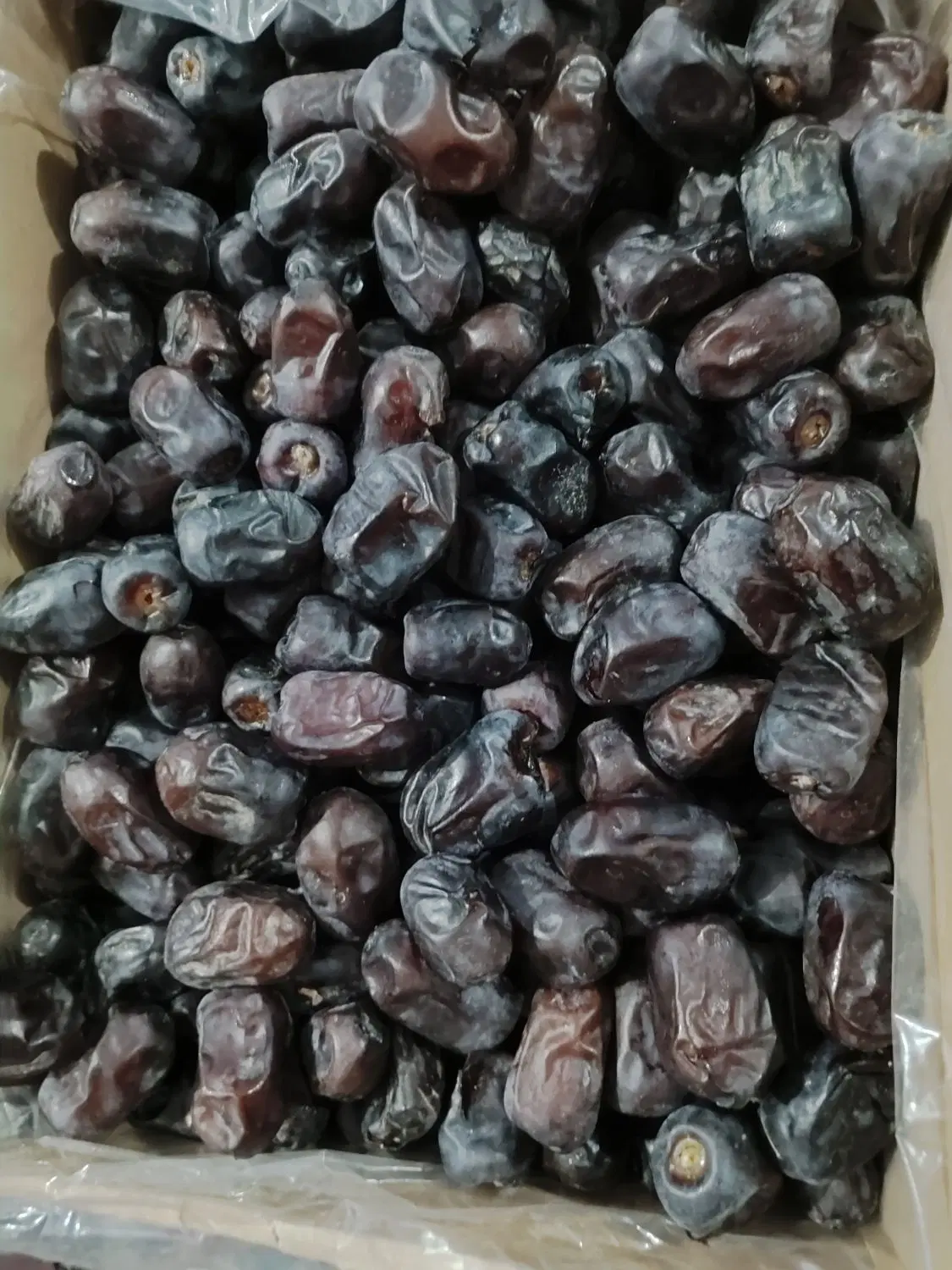 خرما|عمده‌فروشی|بم, |دیوار