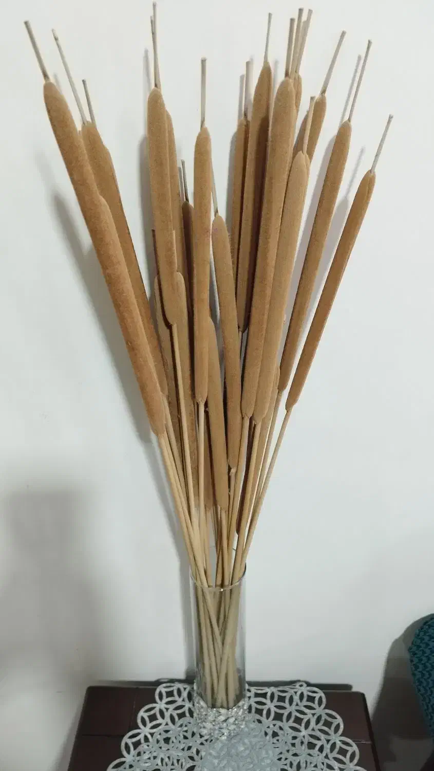 گل گلدون|گل مصنوعی|مشهد, فاطمیه|دیوار